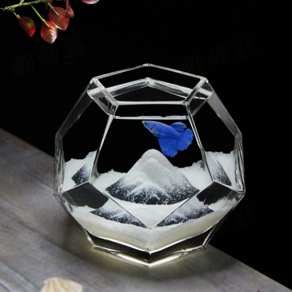 水槽用品 tama Amazon | WEIPIAO 金魚鉢 ガラス 丸 金魚 水槽 小さな魚の水槽